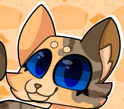 Cat Shelly