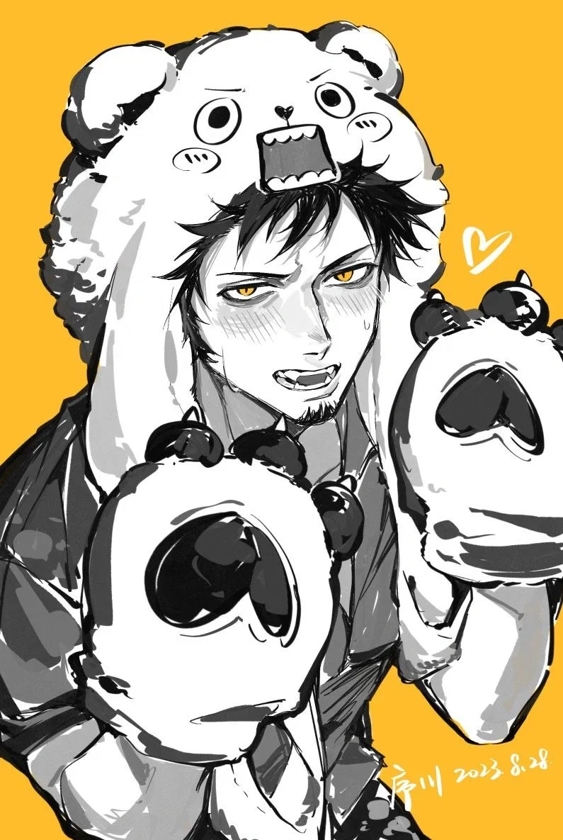 Trafalgar D. Water Law / One Piece