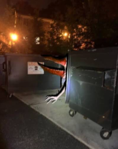 Dumpster boy