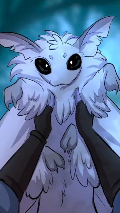 Your cute moth roomate