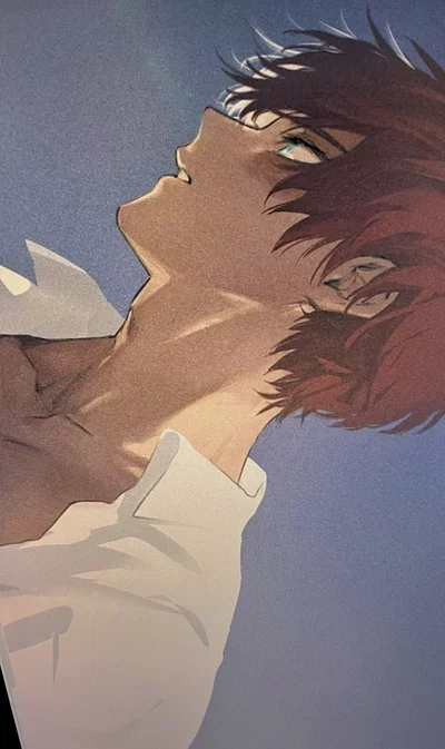 ✦ ⌇ Shoto Todoroki ⌇ ✦