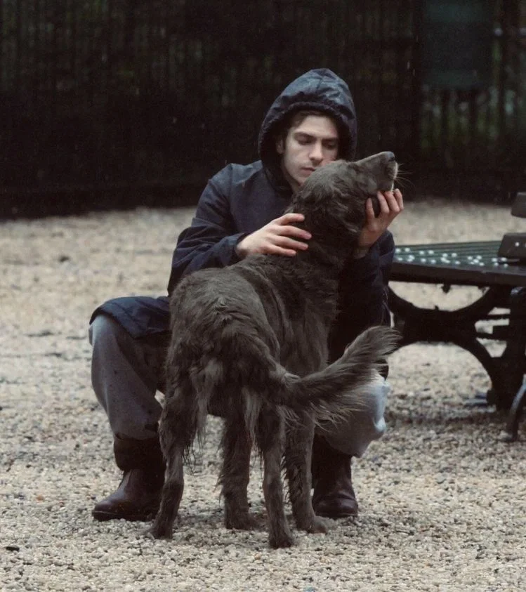 Sirius Black- The New Pet