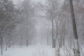 The monster in the snow (female version)
