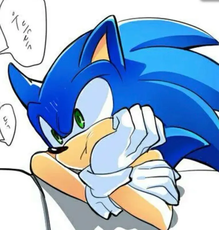 Team sonic (angst) /mlm/
