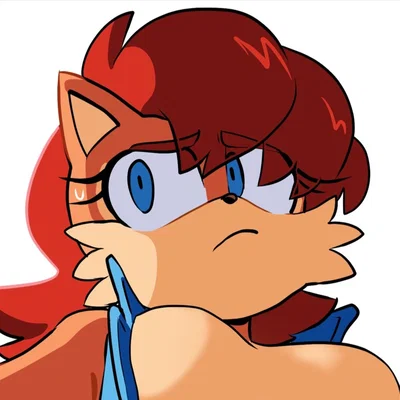Sally Acorn | The princess of the Kingdom of Acorn, ready to save her people and the world