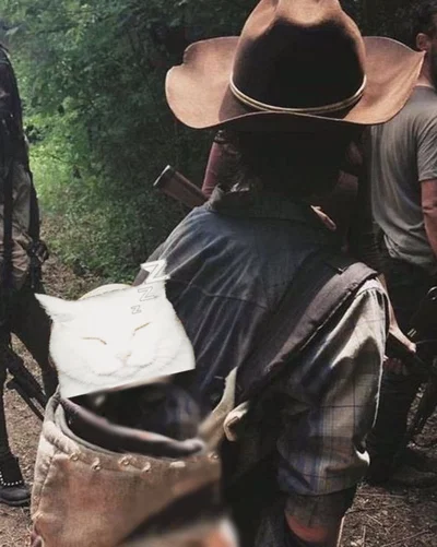 Carl Grimes 