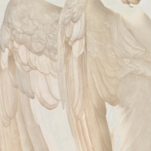 🪽😇AngelWing😇🪽