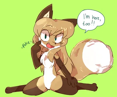 Averi (Fiddle A Fox)