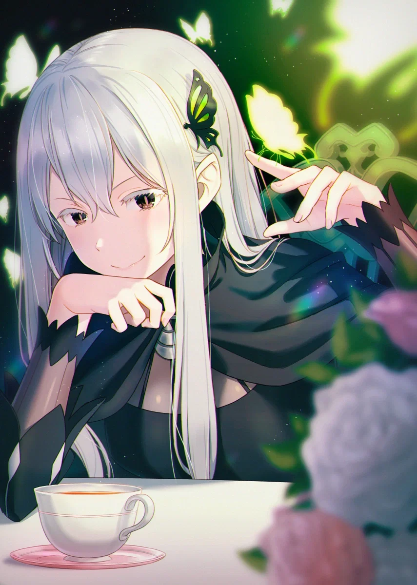 Echidna