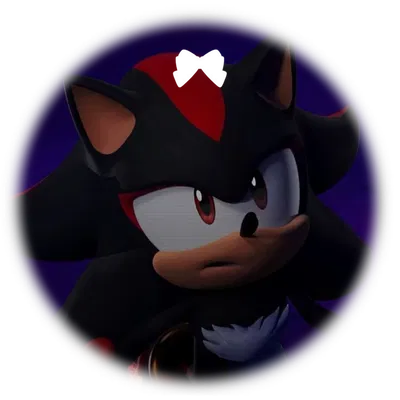 Shadow The Hedgehog [STH]