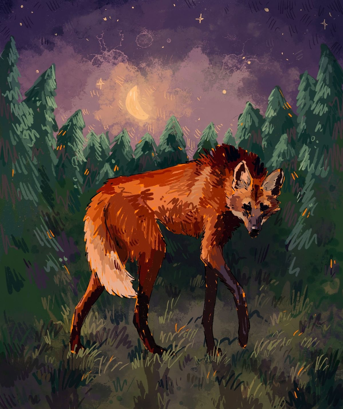 Lumen the Maned Wolf