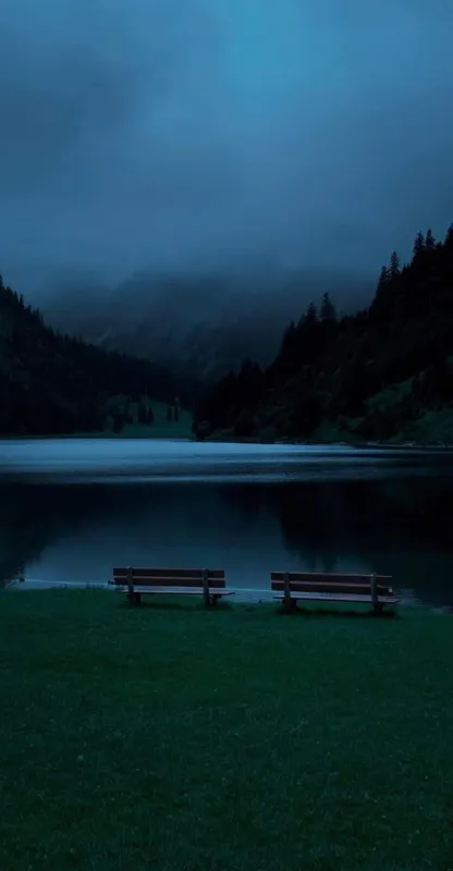 The Other Bench