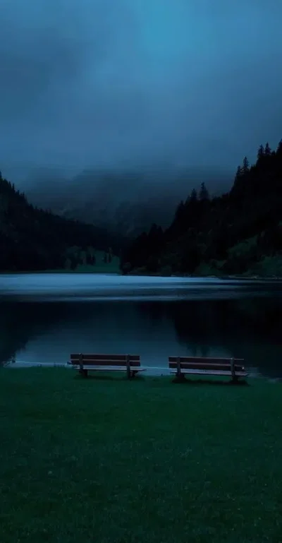 The Other Bench