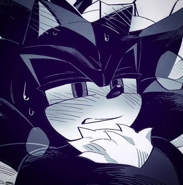 ✦ ⌇ Shadow The Hedgehog ⌇ ✦