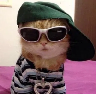 [ Gangster Pops ]