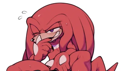 Knuckles The Echidna ( /Filth)