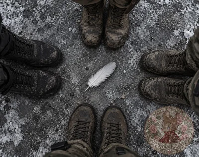 Pack 141 | The Weight Of A Feather