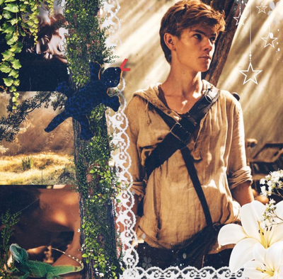 Newt — TMR