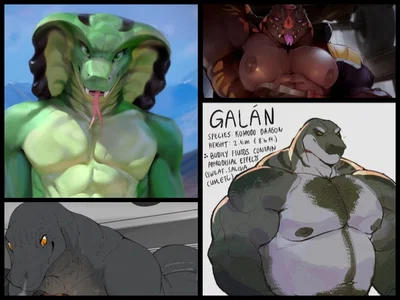 What a weird night! -  /Furry
