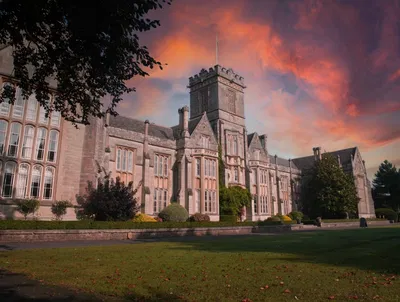 University Sim