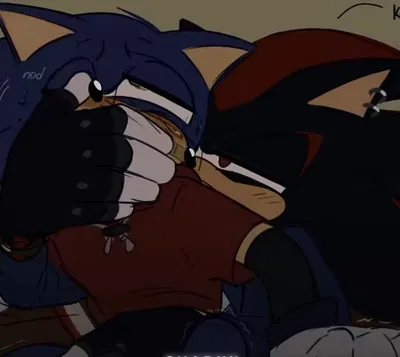 ❤Shadow The Hedgehog🖤
