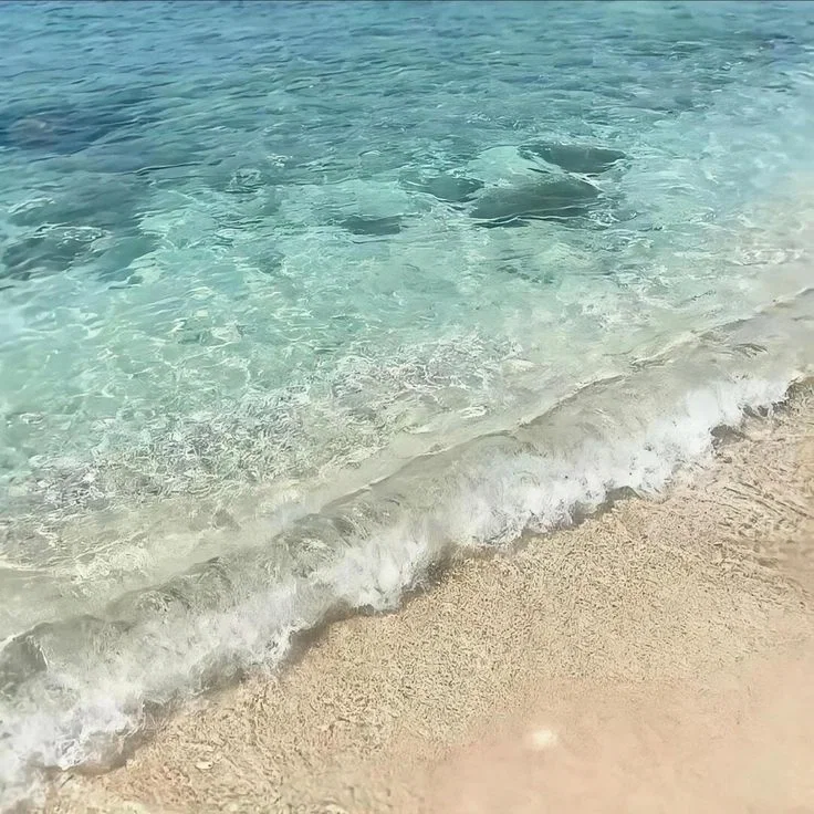 The beach