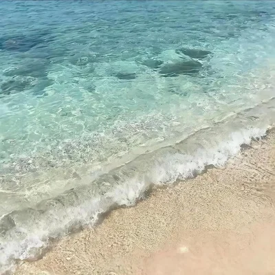 The beach