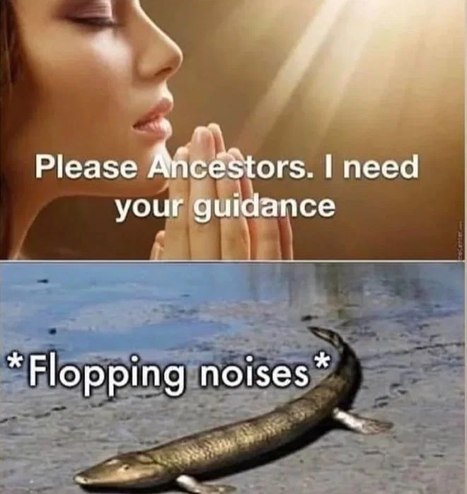 I'm not dead! YOU'RE DEAD