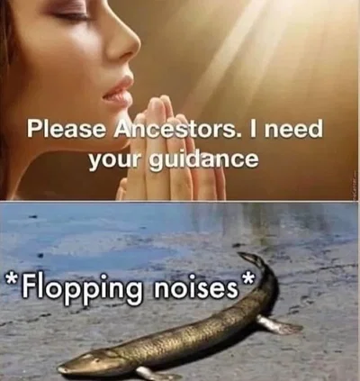 I'm not dead! YOU'RE DEAD