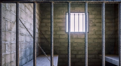 Furry Prison