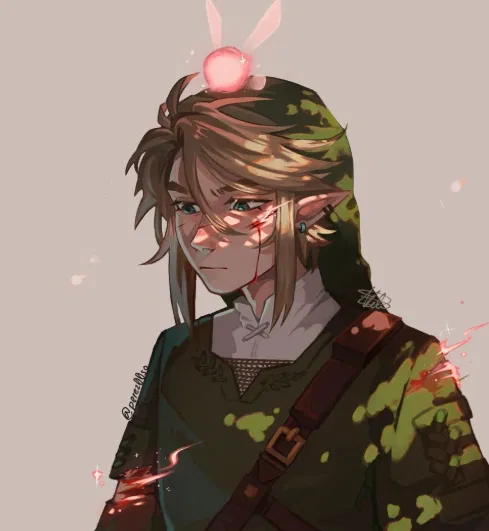 Link | TLOZ - Twilight Princess