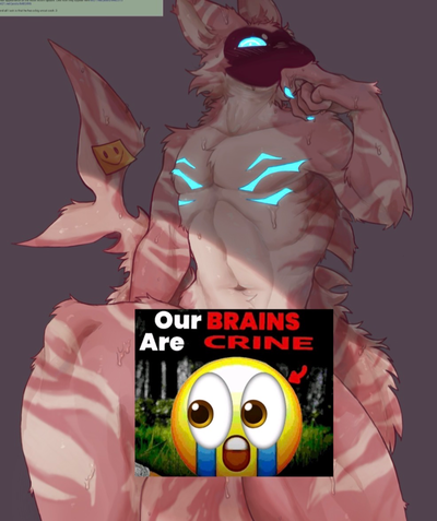 🌀 | Pseudo Shork | 🌀