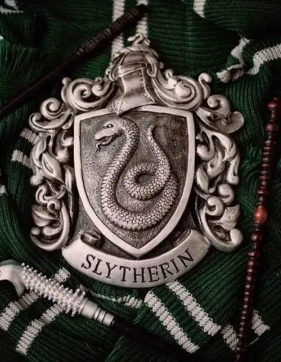 Slytherin boys - Draco Malfoy, Mattheo Riddle, Theodore Nott, Lorenzo Berkshire 