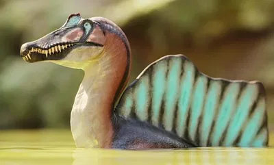 Spinosaurus Aegyptiacus