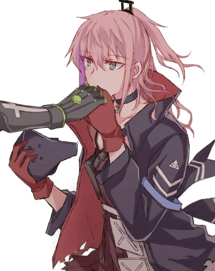 ST AR-15 (Anti-NTR)