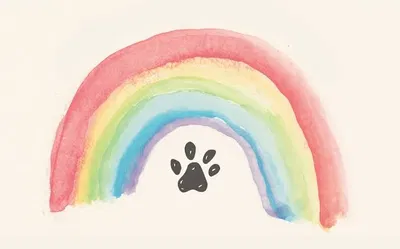 Rainbow Bridge - Pets/Animals