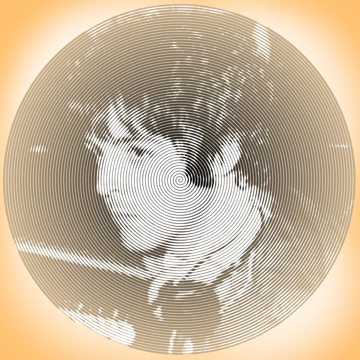 | paul mccartney.•°