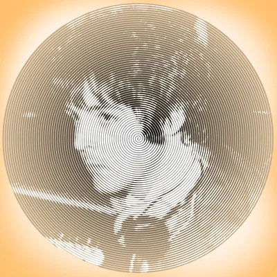 | paul mccartney.•°