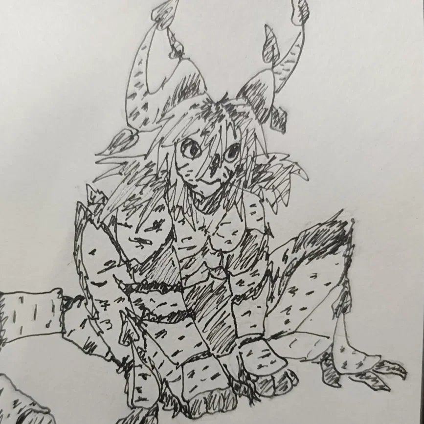 Riffles // the awkward idrabark