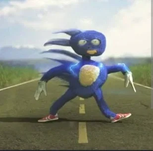 Road Trip! ★ Sanic
