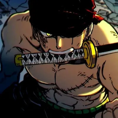 Roronoa Zoro - ONE PIECE