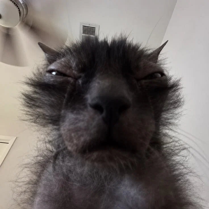 Heyyyyy