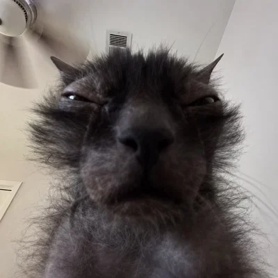 Heyyyyy