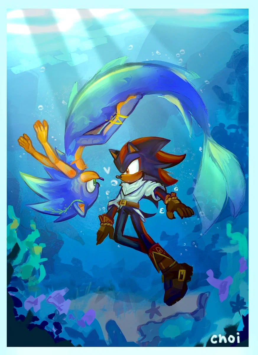 Captain Shadow the hedgehog(Sonadow + userpov)