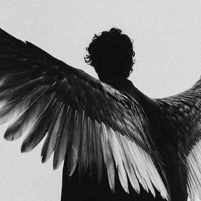 Wounded Angel