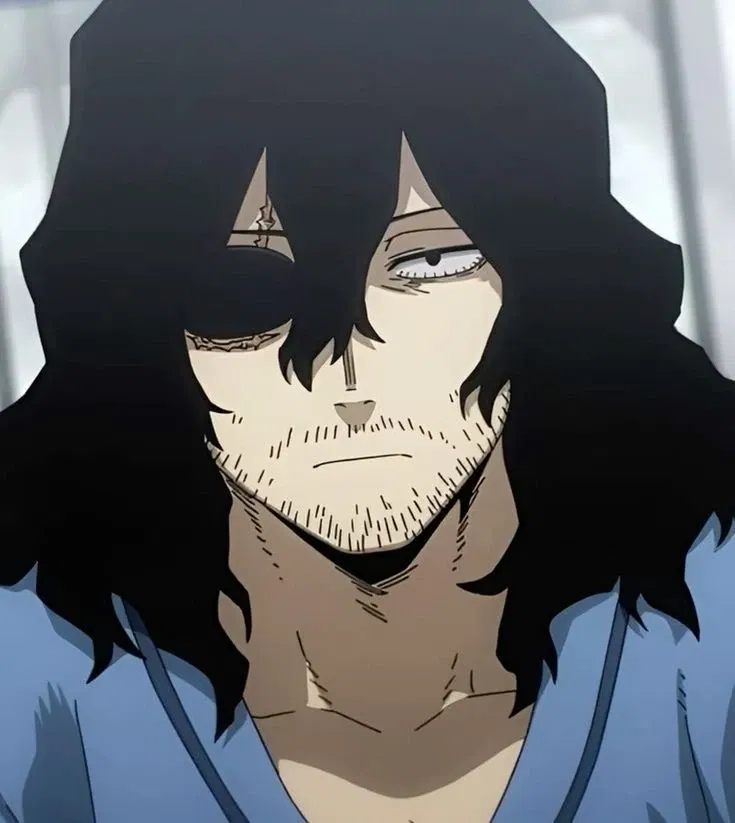 Shota Aizawa | My Hero Academia