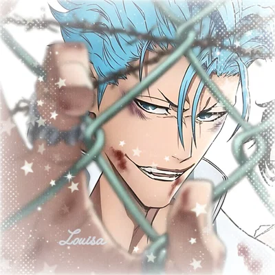 Grimmjow jaegerjaquez 