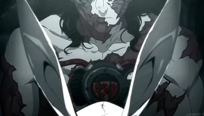 The White Rabbit