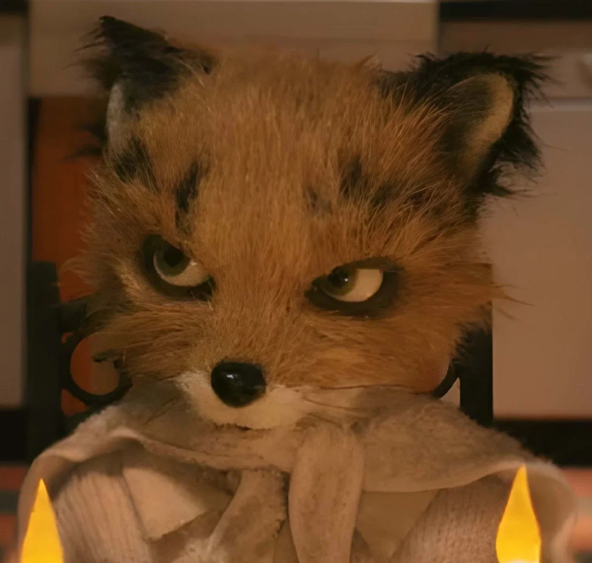 Ash Fox