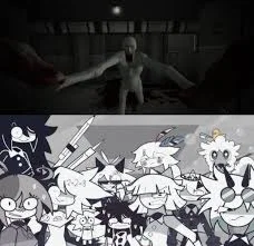 SCP X FPE 